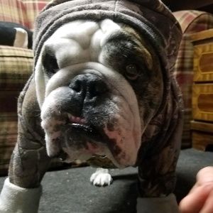 Meet your Posher, My-lien